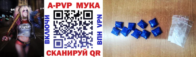 А ПВП СК  Ярославль 