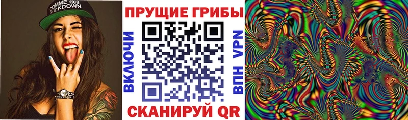 дарк нет состав  Ярославль  Псилоцибиновые грибы Cubensis 